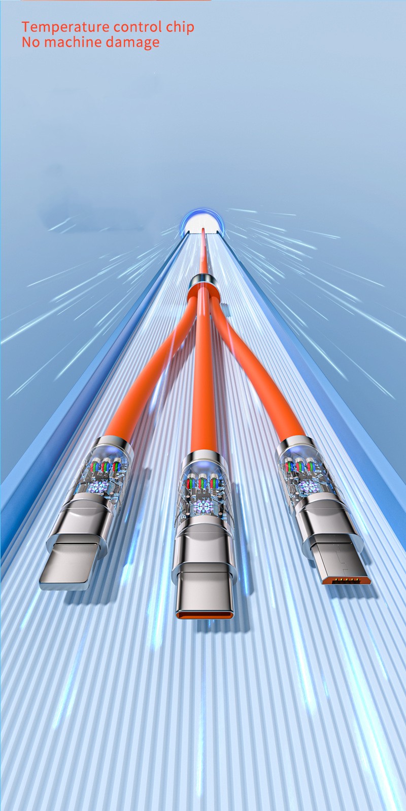 ~!phoenix_varIMG33!~